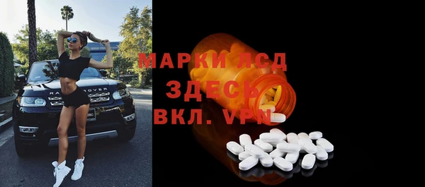 стафф Арсеньев