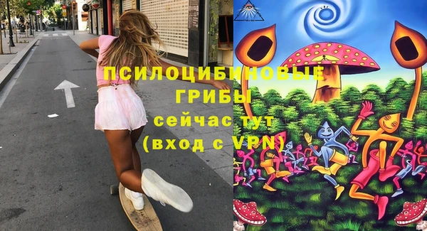 бошки Алзамай