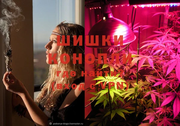 бошки Алзамай
