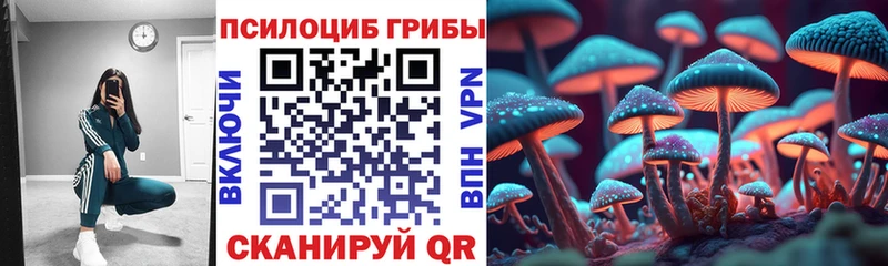 Псилоцибиновые грибы GOLDEN TEACHER  Купить  Сосенский 